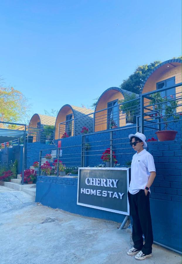 Cherry Homestay Bungalow Βουνγκ Τάου Εξωτερικό φωτογραφία